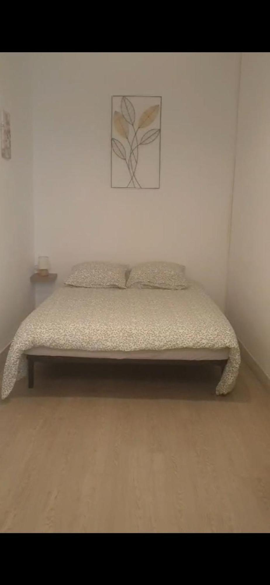 Appartement T3 Rez De Jardin Marseille Extérieur photo